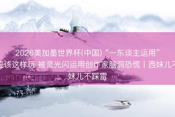 2026美加墨世界杯(中国) “一东谈主运用”期间应该这样玩 被灵光闪运用创作家脑洞恐慌丨西妹儿不踩雷