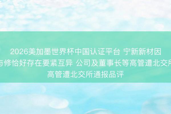 2026美加墨世界杯中国认证平台 宁新新材因事迹预报与修恰好存在要紧互异 公司及董事长等高管遭北交所通报品评
